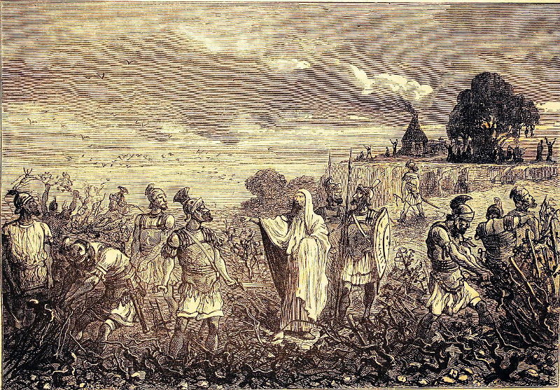 Arrachage de la vigne en Gaule sur ordre de Domitien