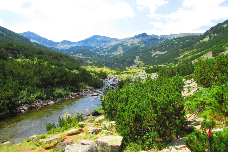 Boadic�e haranguant les Bretons de John Opie