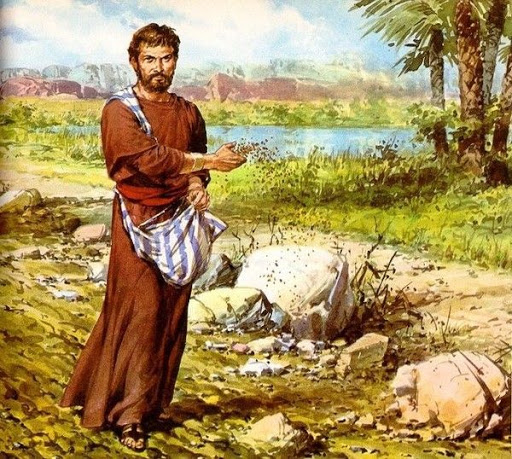 Paraboles des semences